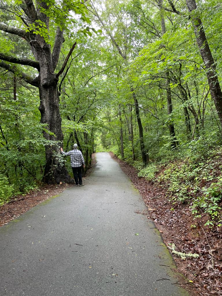 Favorite hike on the Little Tennessee Greenway in Franklin, NC