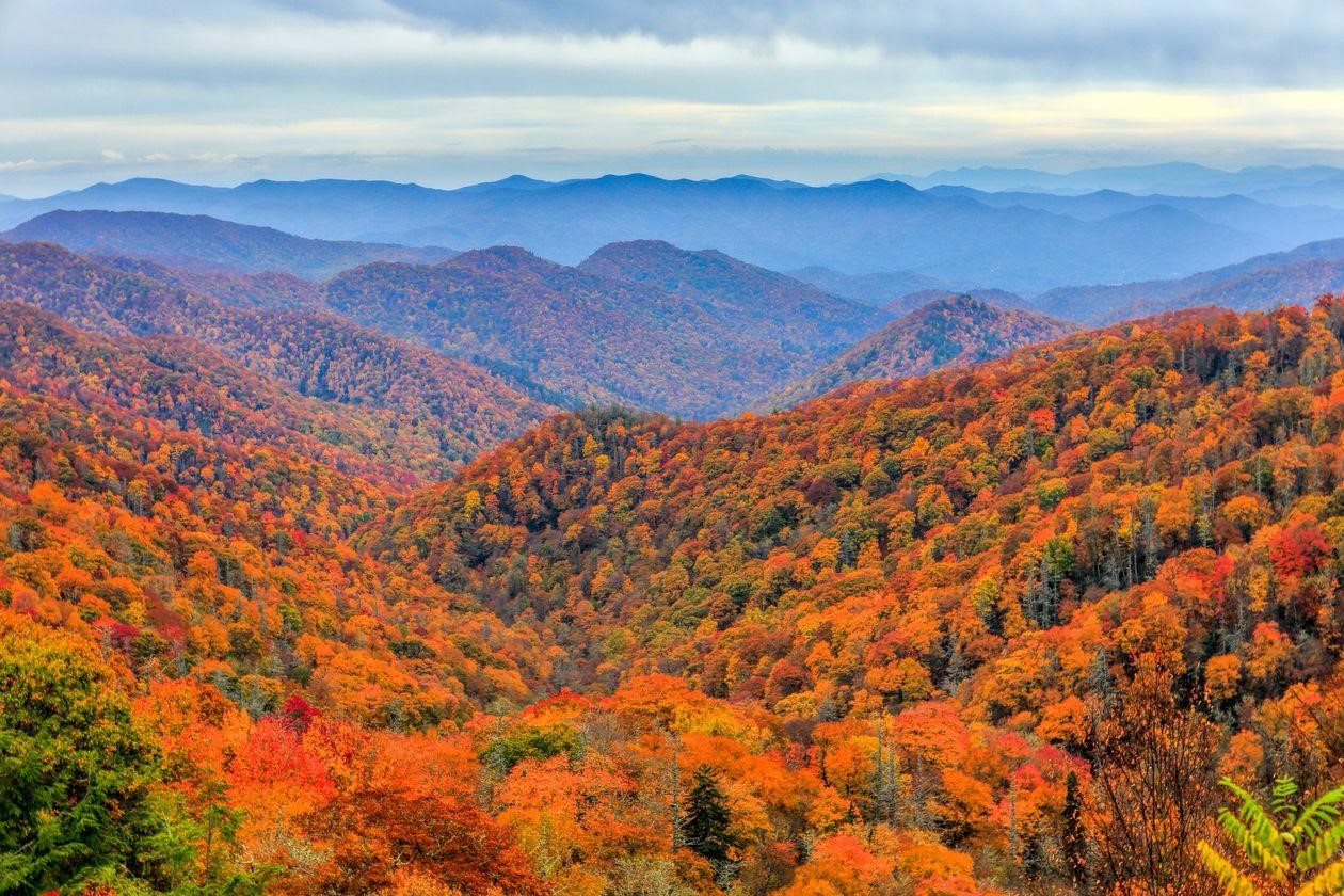 Fall in Western North Carolina