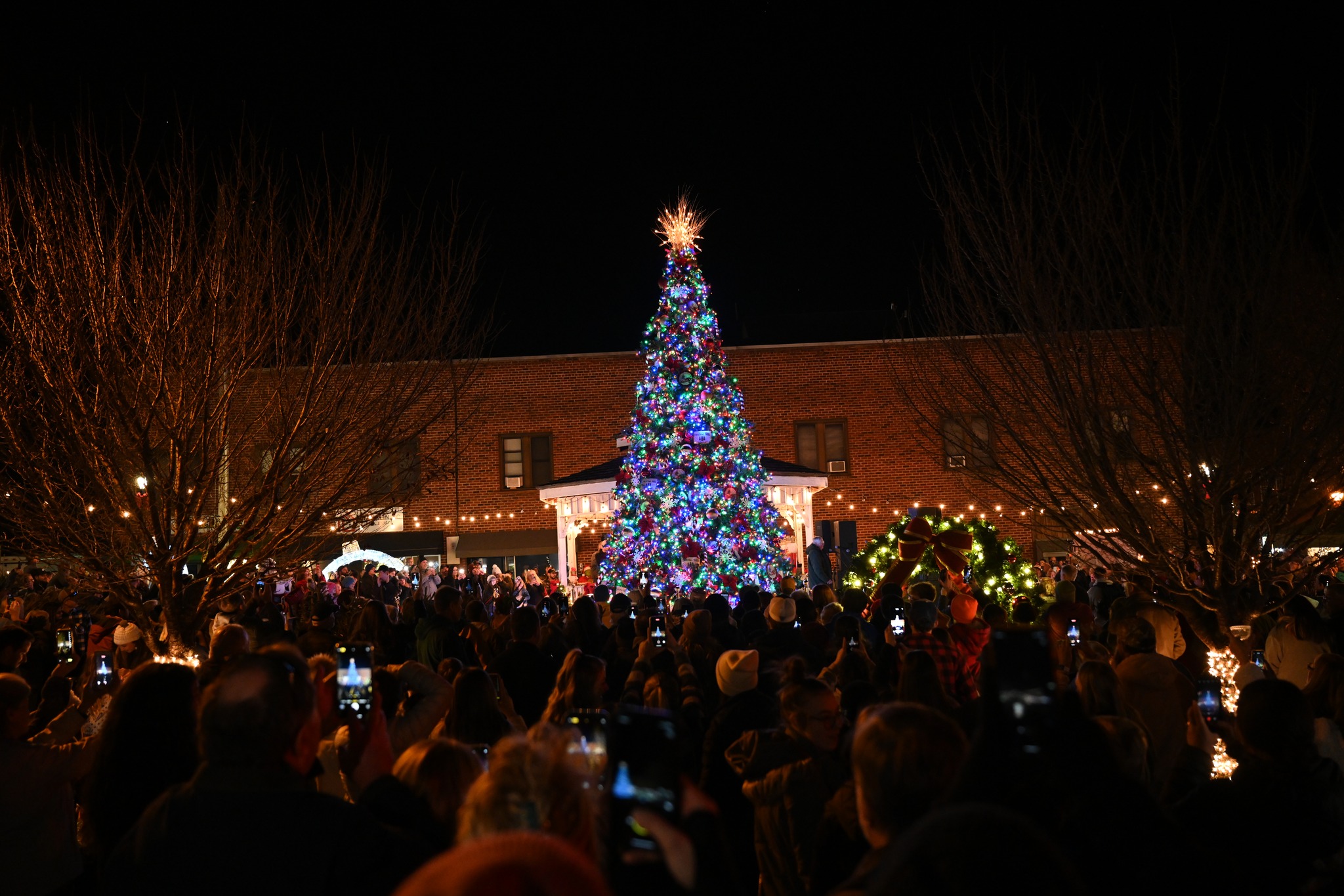 Christmas Tree on the Square in Franklin, NC