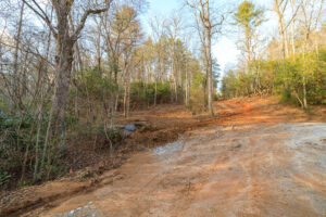 View of Homesite 33 from Village Circle West