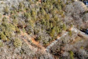 Homesite 41 in Sanctuary Village aerial view from corner