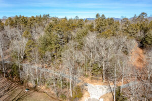 Homesite 49 in Sanctuary Village aerial view