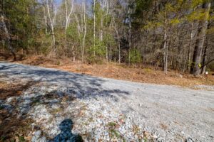 Homesite 49 in Sanctuary Village ground view in front on Parkside Lane