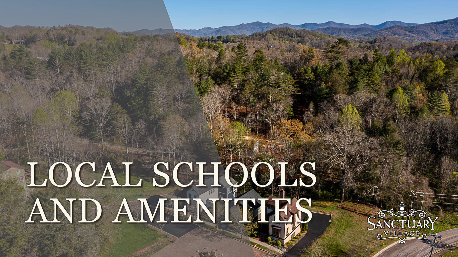 Local Schools and Amenities