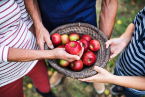 Barbara McRae Cherokee Heritage Apple Orchard