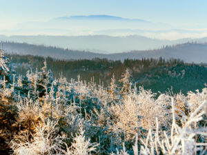 Great Smoky Mountains in winter