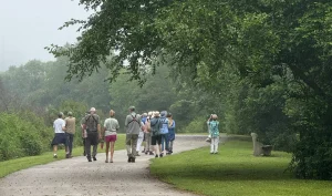 Bird watching Little Tennessee Greenway