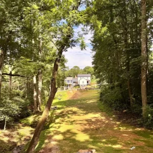 Lower park from Village Circle West