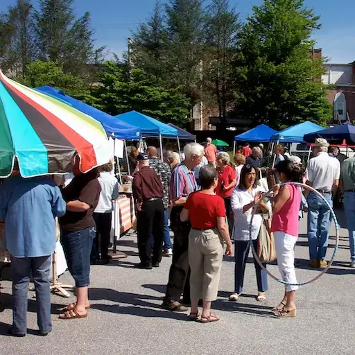 Farmers market scene in downtown Franklin, North Carolina with people and vendor tents