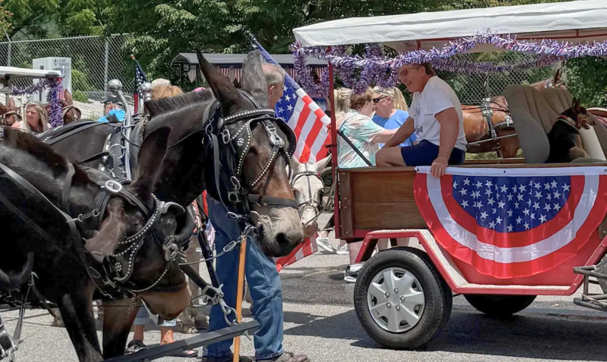 Horse and wagon at Wagon Trail parade downtown Franklin, NC