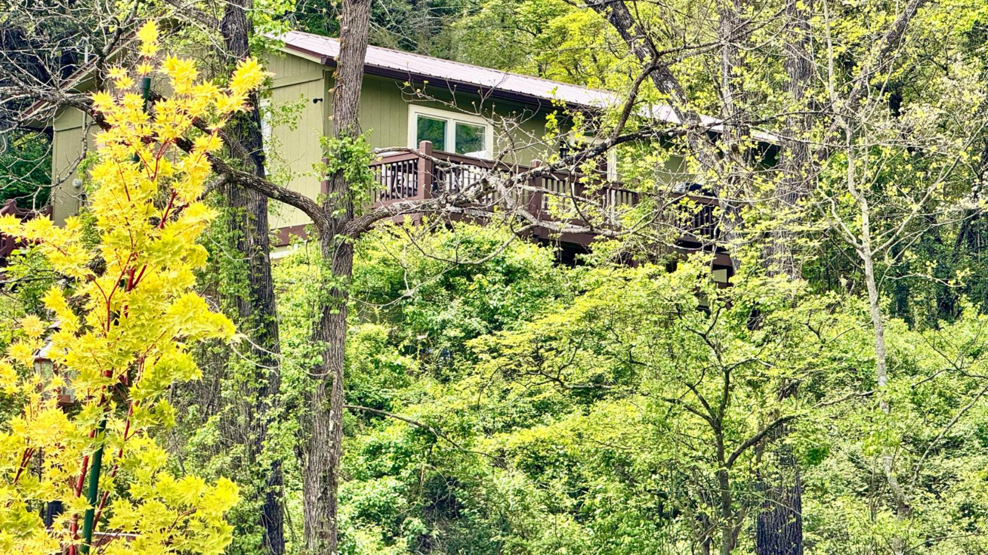 Cottage with olive green siding, and brown trim and deck in a wooded setting