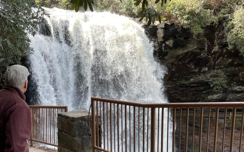 A wide waterfall cascades over a rocky cliff, viewed from a fenced overlook in a forested area.