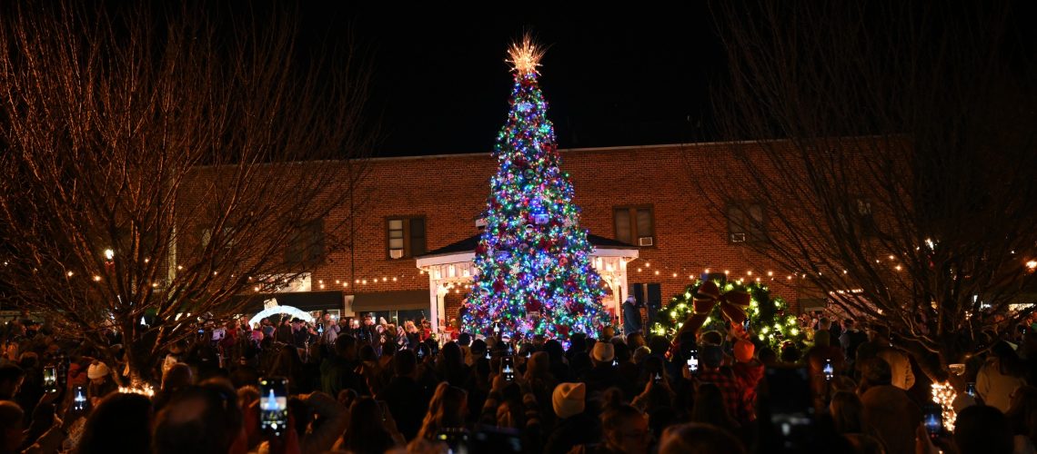 Christmas Tree on the Square in Franklin, NC