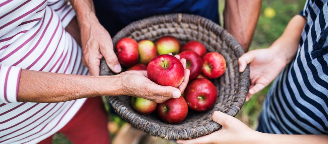 Barbara McRae Cherokee Heritage Apple Orchard