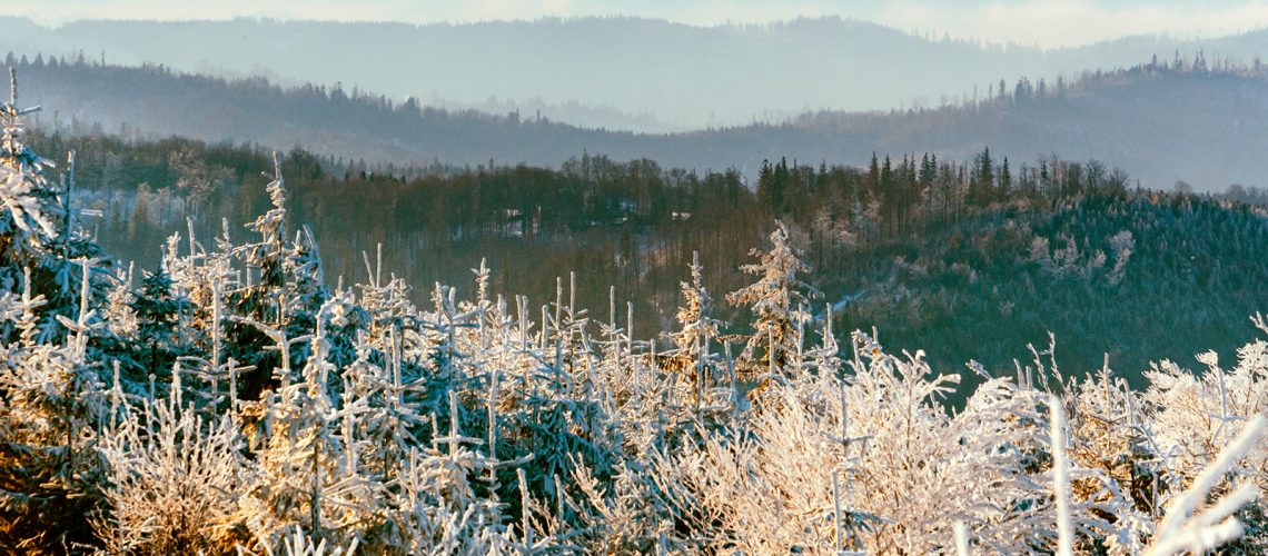 Great Smoky Mountains in winter